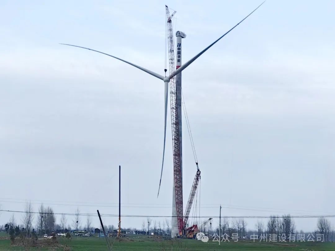 1709193316146523.jpg 1709193316146523.jpg